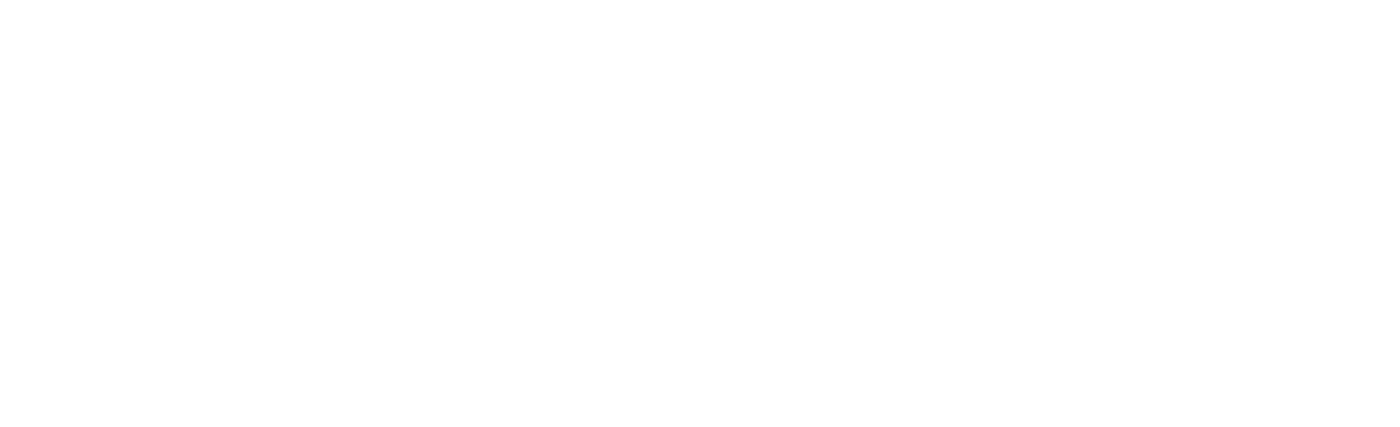 Tier1 Concealed